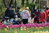 2020年4月5日，是清明小长假第二天，江苏南京，众多市民来到郊外踏青郊游，乐享春光。

