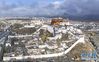 4月5日拍摄的布达拉宫雪景（无人机照片）。 新华社记者 普布扎西 摄