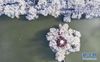 4月5日拍摄的拉萨宗角禄康公园雪景（无人机照片）。新华社记者 普布扎西 摄