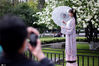  2020年4月5日，清明时节，南京午朝门公园内绣球花盛开，吸引游人前来赏花拍照，感受春天的美好。苏阳/IC photo