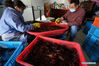 Workers pick and pack crayfish at a market in Jinhu County, east China's Jiangsu Province, May 12, 2020. Jinhu County, located in east China's Jiangsu Province and surrounded by Baima Lake, Baoying Lake and Gaoyou Lake, boasts favorable conditions to develop aquaculture. Crayfish is one of its popular aquatic products and its output value reached 400 million yuan (about 56.4 million U.S. dollars) with a production volume around 10,000 tons in 2019. Meanwhile over 80,000 local residents are engaged in crayfish-related industries. (Xinhua/Han Yuqing)

