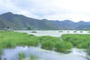 2019年6月28日，夏季的泸沽湖美景，海菜花盛开，湖水清澈见底。