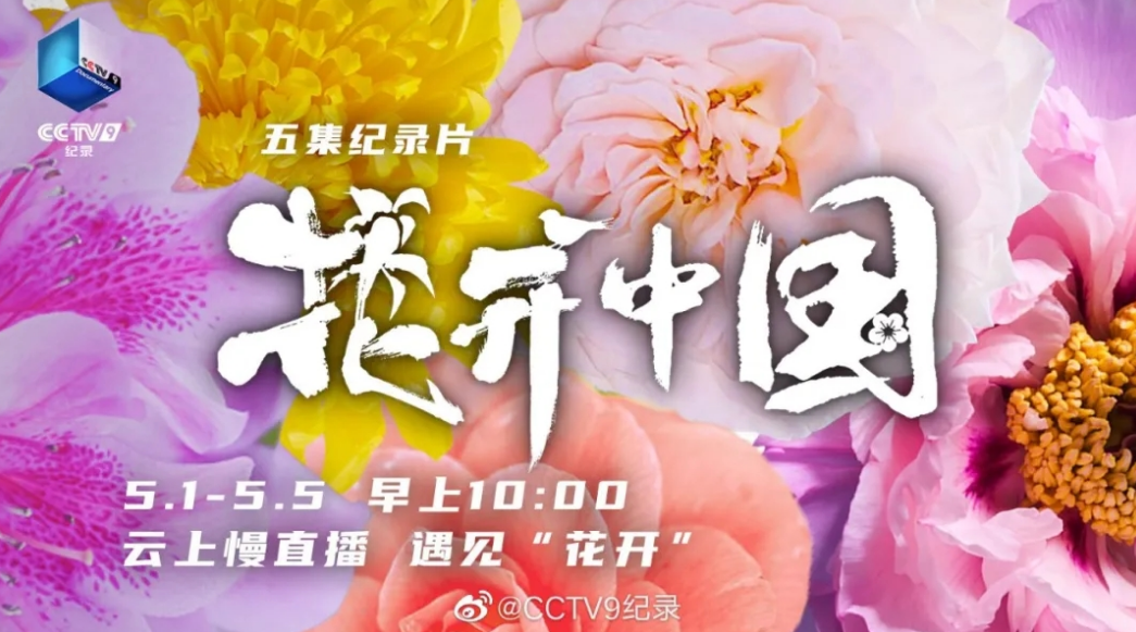 金鸡■央视揭秘：金鸡湖藏着一个“后花园”！
