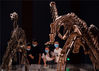  2020年5月17日，观众在南京博物院参观展出的恐龙化石。在5月18日国际博物馆日来临之际，人们走进南京博物院，参观丰富多彩的藏品，感受历史文化魅力。据悉，今年国际博物馆日的主题为“致力于平等的博物馆：多元和包容”，中国主会场活动将在南京博物院举行。来源：东方IC 未央/IC photo