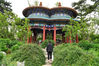  2020年5月17日，北京，游人参观游览中国园林博物馆。