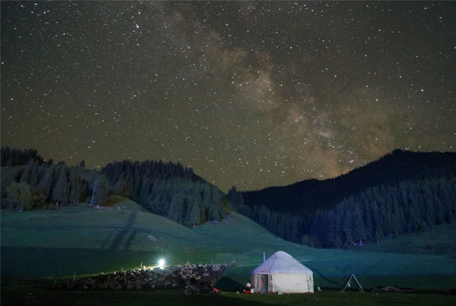 新疆巴州“中国森林氧吧” 巩乃斯夏夜星空唯美如画