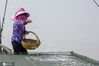 2020年5月26日，江苏淮安洪泽湖洪泽区水域上渔船正在捕捞银鱼，此次春季银鱼特许捕捞活动从5月26日6时起至6月1日6时结束。