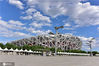 2020年5月27日北京，奥林匹克中心美翻了！北京蓝天白云再次刷屏。
