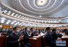 5月28日，第十三届全国人民代表大会第三次会议在北京人民大会堂举行闭幕会。 新华社记者 申宏 摄