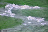 2020年5月25日，在青海省海西市拍摄的茫崖翡翠湖盐花。