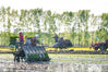2020年5月27日，黑龙江省双鸭山市友谊县兴盛乡，农户们正驾驶插秧机插秧。
