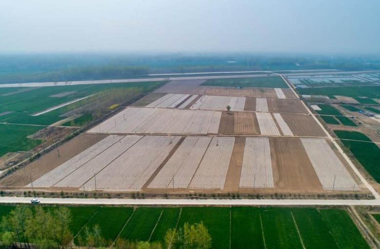 空间■江苏宿迁:深挖农村公共空间强村富民潜力,催发乡村振兴新活力