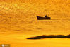 2020年6月21日，在青岛市胶州湾国家级海洋公园城阳段湿地，渔民在日出的晨光中泛舟海面。
