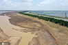 2020年6月21日，江苏大丰，无人机拍摄的黄海滩涂上的麋鹿群。