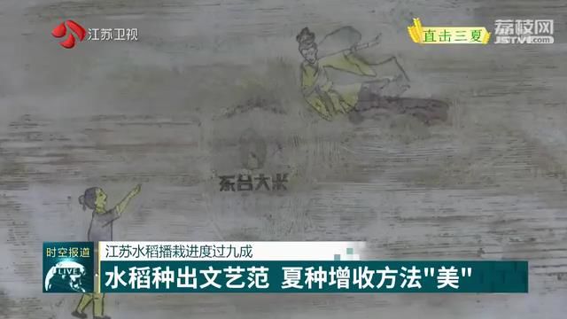 『水稻』夏种增收方法“美” 江苏水稻播栽进度过九成 【直击三夏】水稻种出文艺范