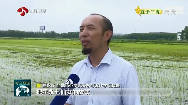 『水稻』夏种增收方法“美” 江苏水稻播栽进度过九成 【直击三夏】水稻种出文艺范