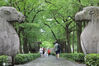 2020年6月27日，受梅雨天气影响，南京石像路上600多年石刻“发霉”了，局部长出“绿色苔藓”，非常难看。徐福庚/IC photo
