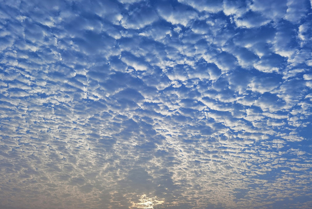 南京清晨天空出现壮观的“鱼鳞云”