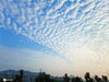 2020年6月30日，江苏省南京市，当日清晨，南京东方太阳开始升起，天空出现美丽、壮观的“鱼鳞云”。