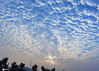 2020年6月30日，江苏省南京市，当日清晨，南京东方太阳开始升起，天空出现美丽、壮观的“鱼鳞云”。 “鱼鳞云”规范名称为透光高积云，形似鱼鳞的白云，一排排一列列，是强冷空气到来时出现的一种云层，预示着近期天气状况不稳定。姚俊/IC photo