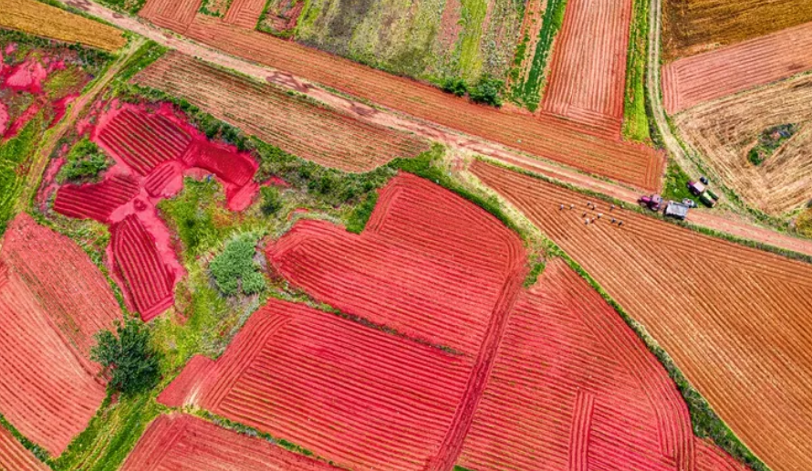 一定■这么“红”的泗洪，你一定没见过！
