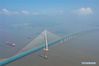 Aerial photo taken on June 30, 2020 shows a view of the bridge linking Nantong and Zhangjiagang in east China's Jiangsu Province. The bridge is a road-rail cable-stayed bridge and will open to traffic on July 1. (Xinhua/Ji Chunpeng)