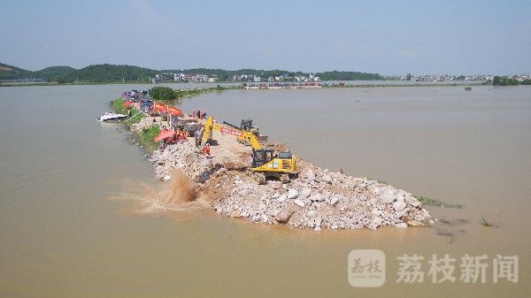 决口|江西鄱阳昌洲乡中洲圩决口封堵加速推进|荔枝军事