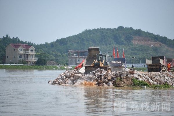 决口|江西鄱阳昌洲乡中洲圩决口封堵加速推进|荔枝军事