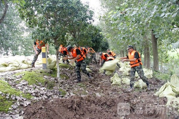 天鹅|湖北石首天鹅洲告急：武警专业救援力量火速驰援|荔枝军事