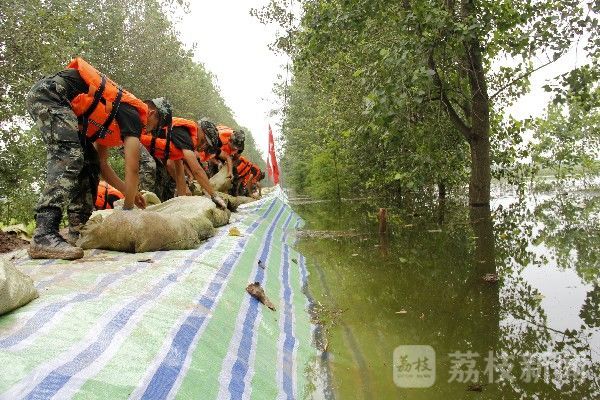 天鹅|湖北石首天鹅洲告急：武警专业救援力量火速驰援|荔枝军事