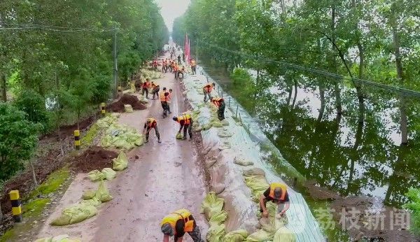 天鹅|湖北石首天鹅洲告急：武警专业救援力量火速驰援|荔枝军事