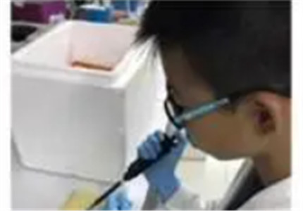 大赛|小学生研究癌症获奖 大赛组委会：已成立专项调查组核查