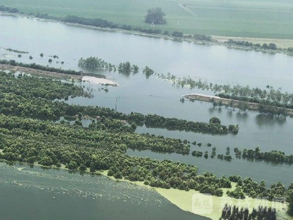 溃口|湖北阳新多处发生溃口,武警官兵紧急驰援|荔枝军事