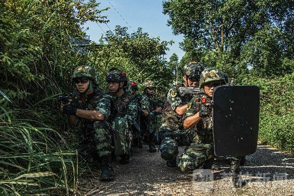 山林|武警湖南总队永州片区特战分队 开展山林地捕歼综合演练|荔枝军事