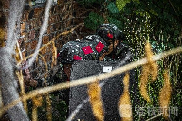 山林|武警湖南总队永州片区特战分队 开展山林地捕歼综合演练|荔枝军事