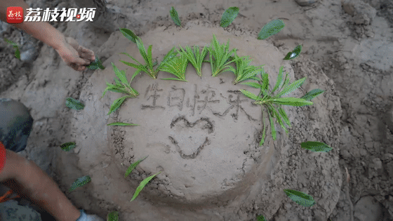 生日|堤坝上“特殊”的生日|荔枝军事
