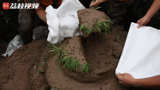 生日|堤坝上“特殊”的生日|荔枝军事