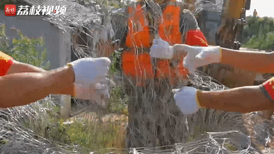 堤坝|陆军第72集团军某旅：请党和人民放心！我们誓死守护堤坝！|荔枝军事