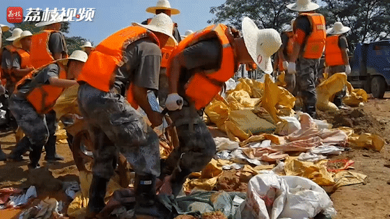 堤坝|陆军第72集团军某旅：请党和人民放心！我们誓死守护堤坝！|荔枝军事