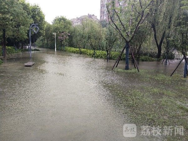 六安|抗洪“神器”高效处置六安城区内涝|荔枝军事