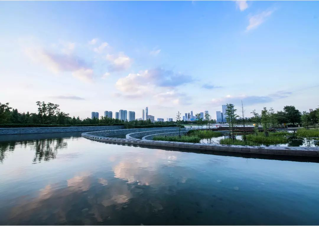 哪的公寓可以饱览生态公园？正荣中心全新LOFT公寓做到了！