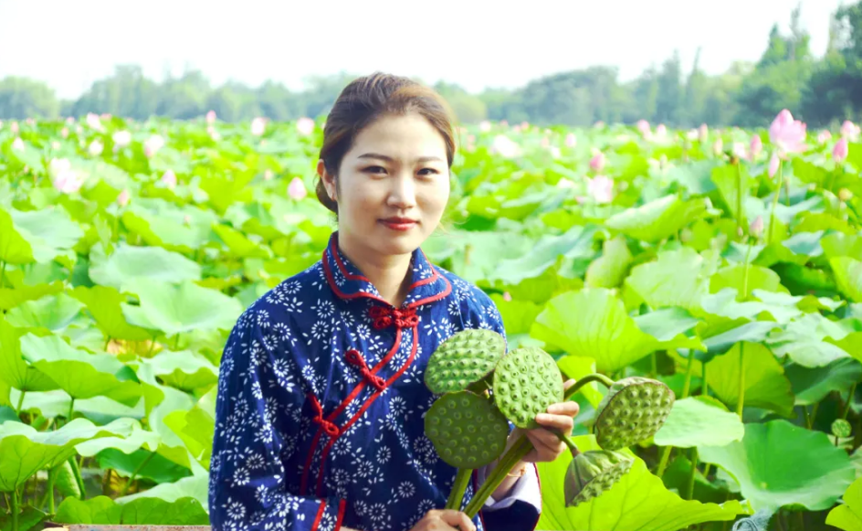 采莲■夏之趣！到洪泽湖湿地采莲赏荷去！