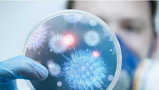 检测|辽宁大连全面开展新冠病毒核酸检测