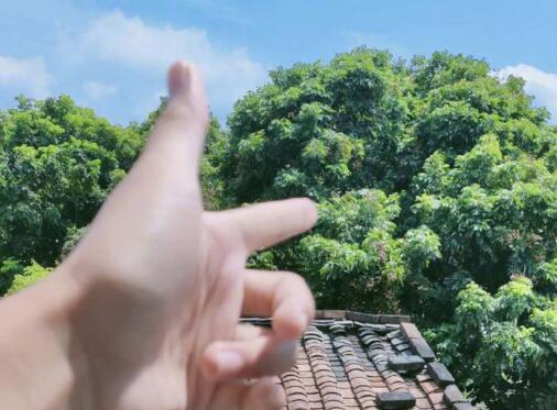 散散心|17岁女孩被逼婚后续：已参加中考，想出去散散心