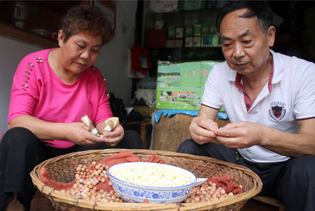 江苏苏州传统特产“鸡头米”上市 被誉为“水中人参”
