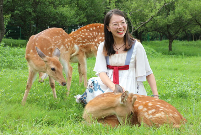 江苏南京梅花山小鹿吸引众多游人欢度周末
