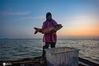 2020年7月1日，江苏省宿迁市骆马湖，渔民在湖中收网捕鱼。贺敬华/IC photo
