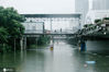 2020年7月6日，随着武汉连续暴雨侵袭，长江水位在汉口水文站，已经直逼警戒线。武汉江滩一级亲水平台已经被淹没，树木半数被水浸没。沿江各路闸口，正在施工封闭中。
