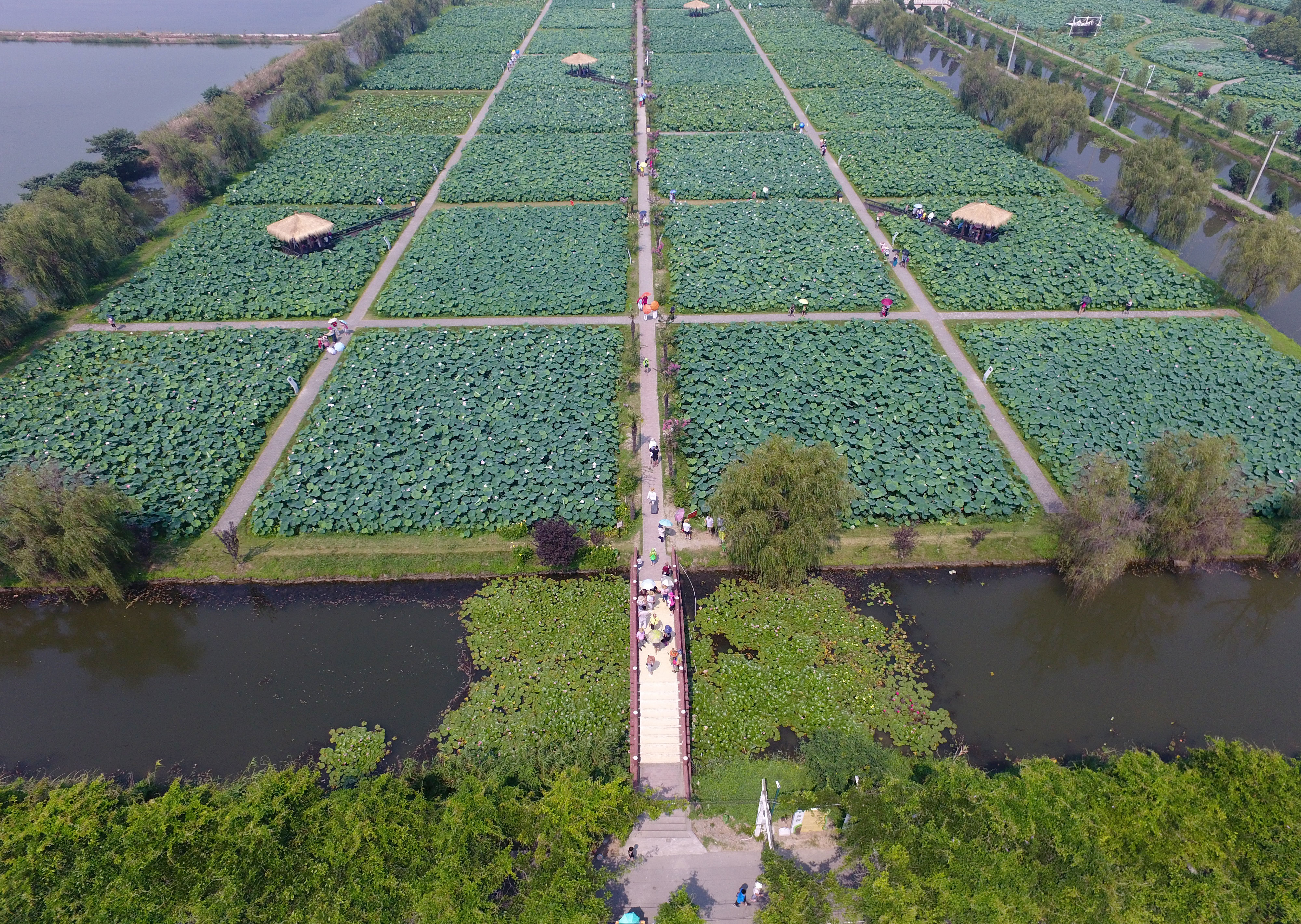 景区■荷花荡景区
