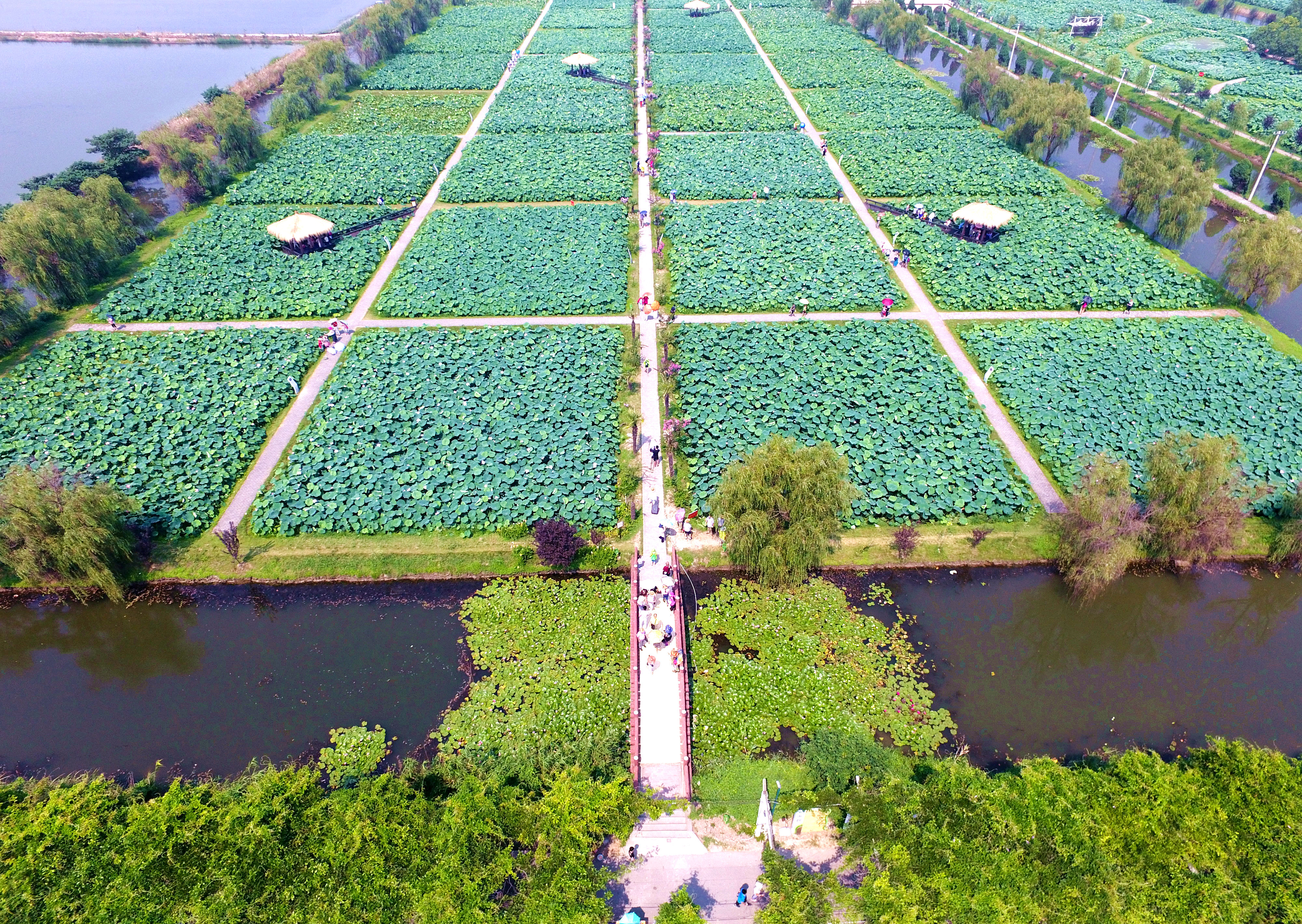 景区■荷花荡景区